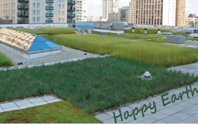 Green Roof for Earth Day!