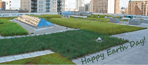 Green Roof for Earth Day!